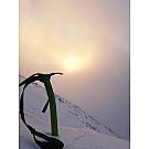 Piccozza Climbing Technology Hound +