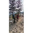 Bastoncini da trekking Black Diamond Trail Cork