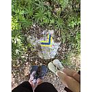 Scarpe da corsa Altra Lone Peak 9+ da donna