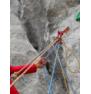 Climbing Technology - Moschettonea con ghiera Lime