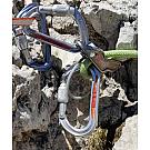 Petzl - Moschettone ovale Petzl OK Screw Lock